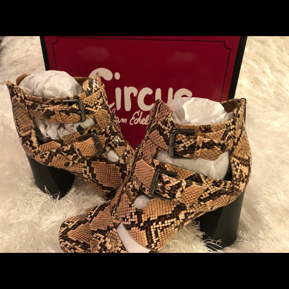 Ezra Dress Sandals 👡 - Picture 5 of 11
